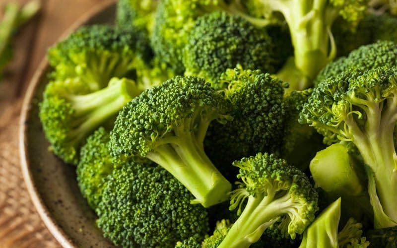 Bienfaits de la vitamine B9 pour les chiens