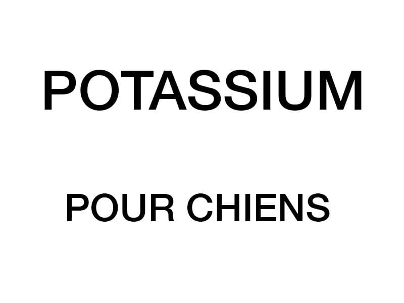 Rôles du potassium dans le corps d’un chien